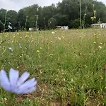 Nature Le Valenty Lot En Vallee De La Dordogne Toboggan Geant Piscine Mini Golf 3*