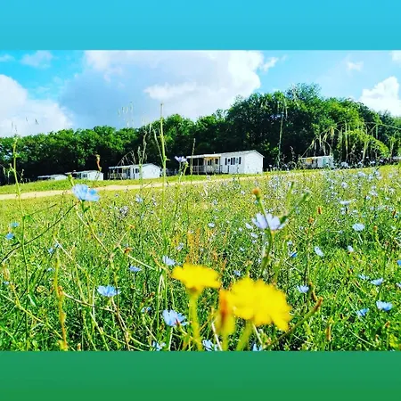 Nature Le Valenty Mobil-home-dordogne Panoramique Clim Piscine 3*