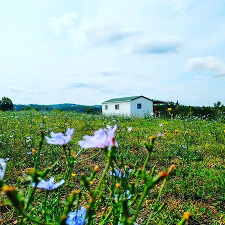 Nature Le Valenty Mobil-home-dordogne Panoramique Clim Piscine Camping Soturac