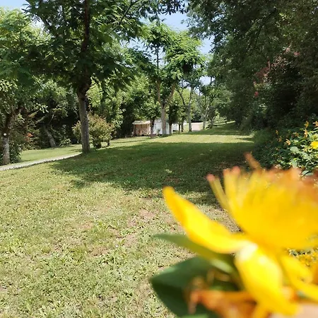 Kemp Nature Le Valenty Mobil-home-dordogne Panoramique Clim Piscine