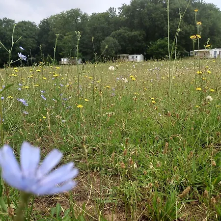 Nature Le Valenty Mobil-home-dordogne Panoramique Clim Piscine 3*