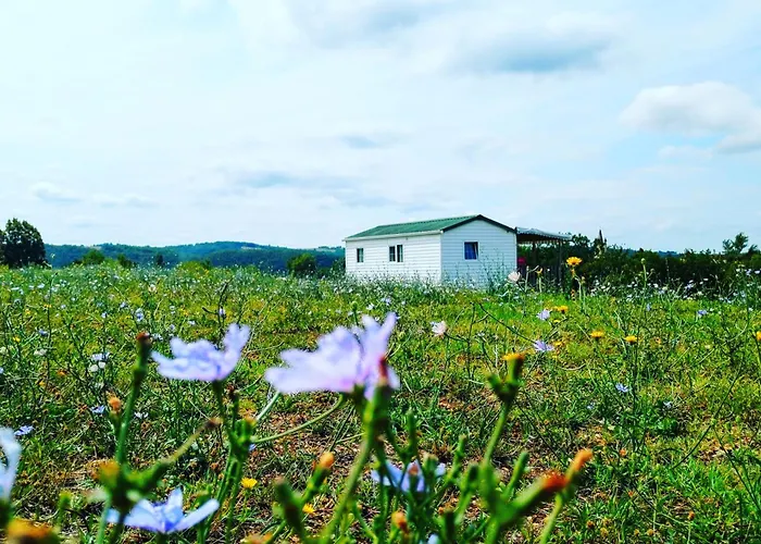 Nature Le Valenty Lot En Vallee De La Dordogne Toboggan Geant Piscine Mini Golf Κάμπινγκ Soturac
